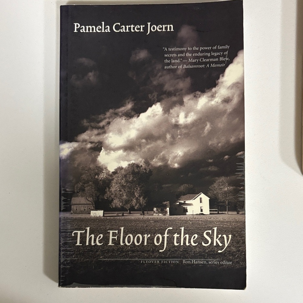 The Floor of the Sky Book